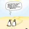 pingviinit.jpg