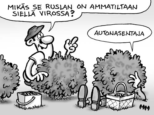 herukanpoiminta3.jpg