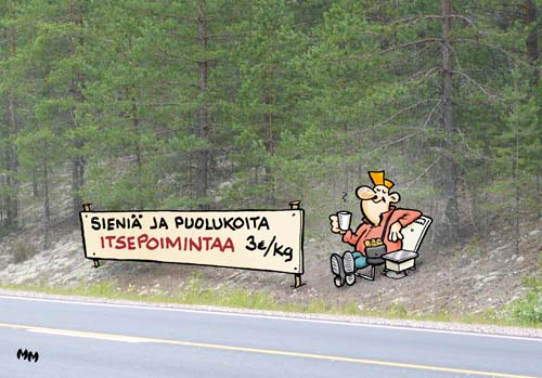itsepoimintaa.jpg