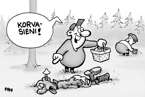 sienestys12.jpg